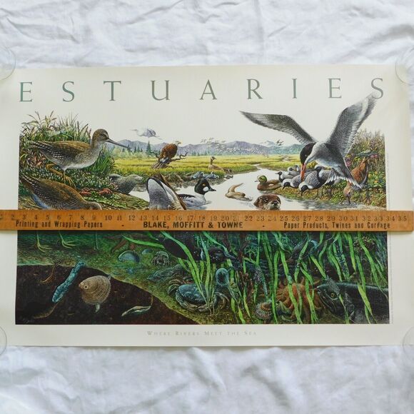 Vintage Art Poster 1995 Larry W. Duke, ESTUARIES 36x24 Nature Coastal NOAA NOS - Picture 2 of 15